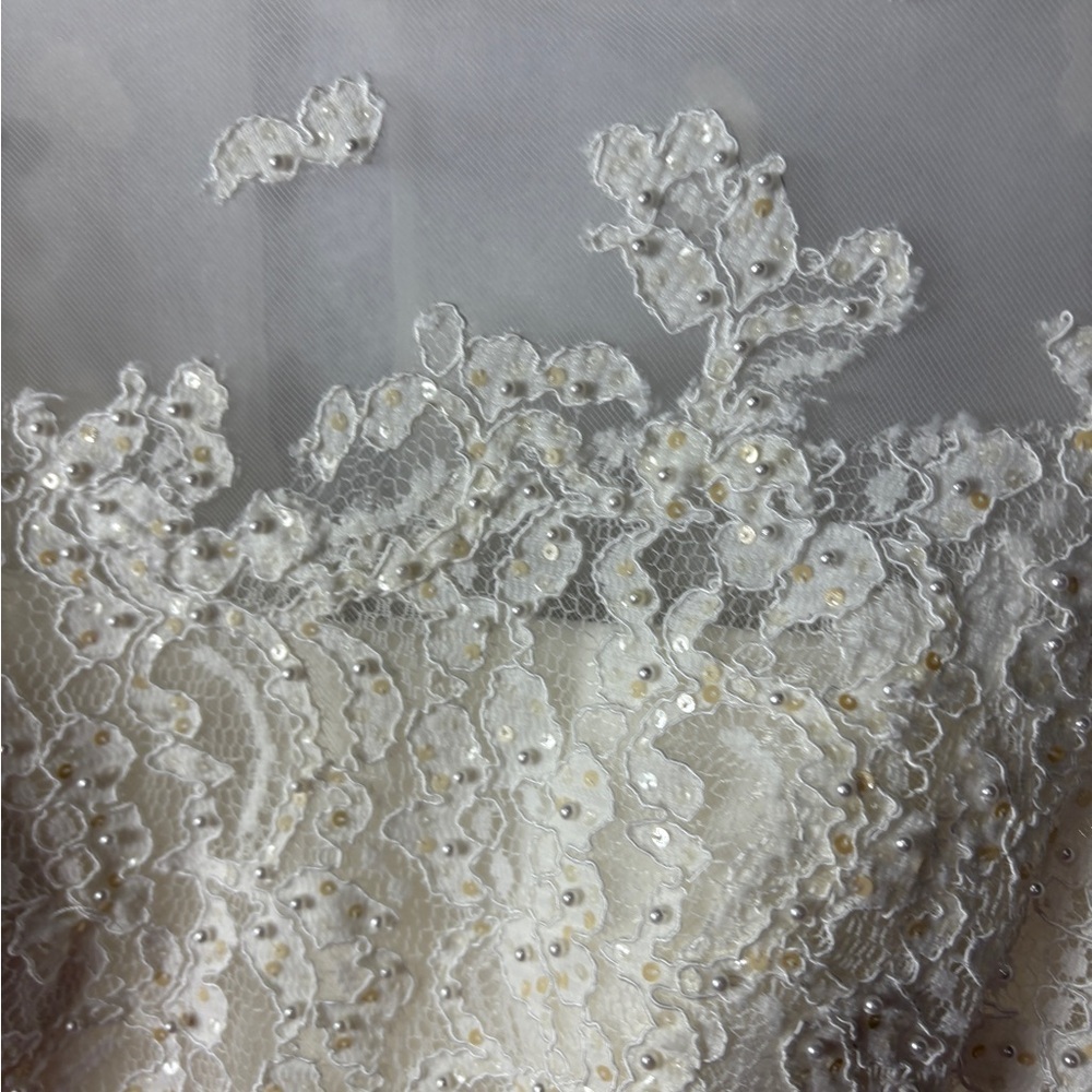 Ivory Lace A-Line Dress with Sheer Cap Sleeves - Picture 3 of 6